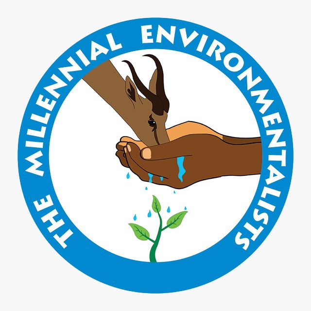 The-Millenial-Environmentalist