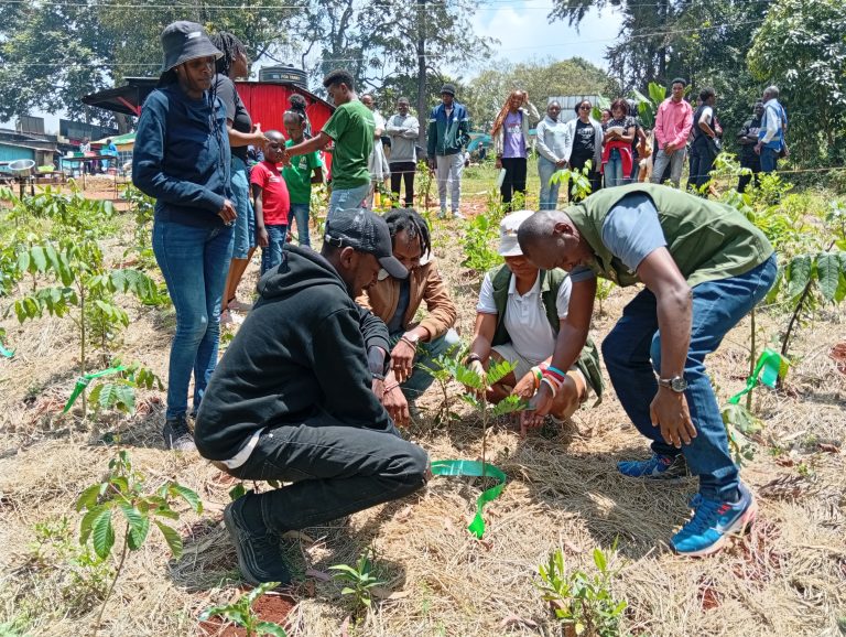 tree-planting